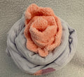 Pink Rose